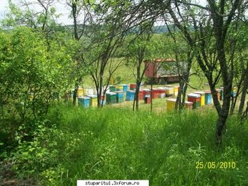 ok_115750.jpg