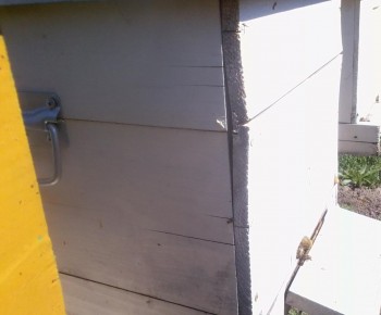 Snapshot_2014-03-24_215333.jpg