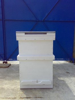 25072011068 (Medium).jpg
