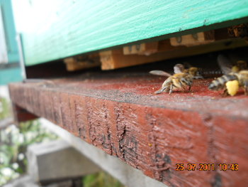 DSCN1235.JPG