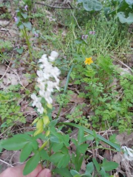 DSCN8577.JPG