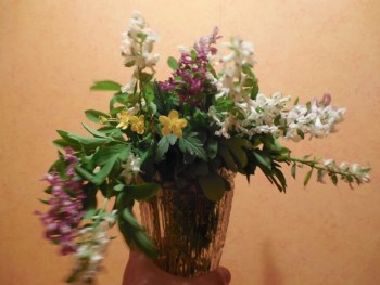 DSCN8589.JPG