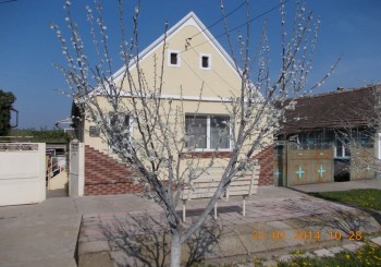 rsz_1picture_028.jpg