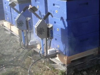 Control de varroa con ácido oxalico vaporizado.jpg