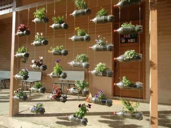 proiect gradina verticala. jpg.jpg