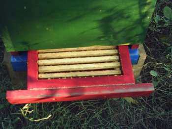 PIC_00068.jpg