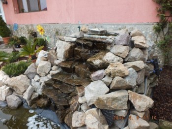 DSCF5223.JPG