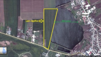 rapita 2014.jpg
