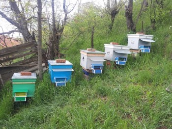 20140419_180358.jpg