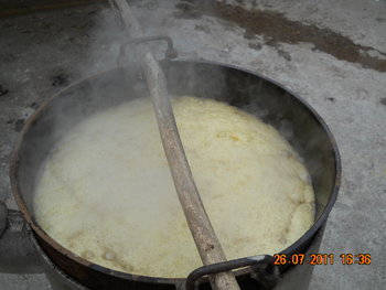 DSCN1282.JPG