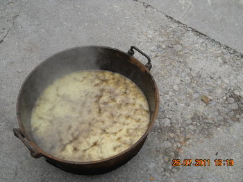 DSCN1281.JPG