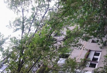 20140425_125201.jpg
