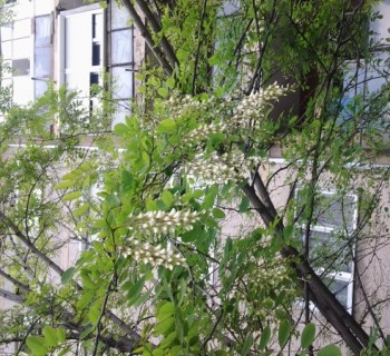 20140425_125156.jpg
