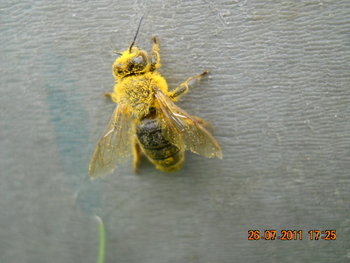 DSCN1287.JPG