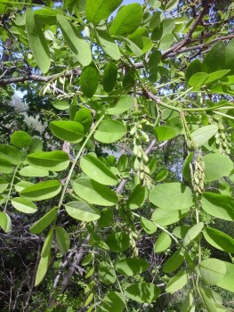 20140427_141530.jpg
