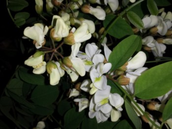 20140427_221542.jpg