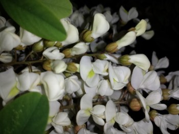 20140427_221548.jpg