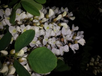 20140427_221552.jpg