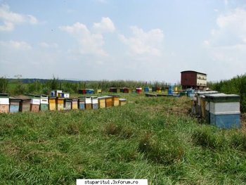 ok_118237.jpg