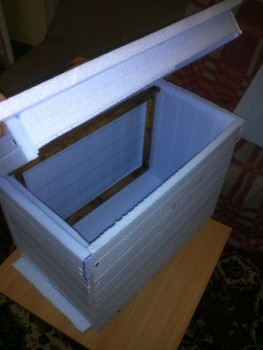 IMG112 - Copy.jpg