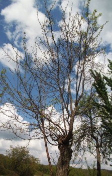 DSCF25022.jpg