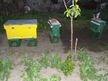 cei trei roi pana in 09.05.2014.JPG