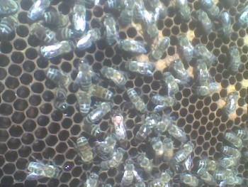 Oct-dec2013012.jpg