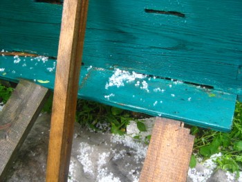 IMG_2564.JPG