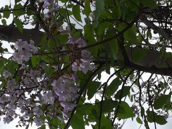 20140514_140022.jpg