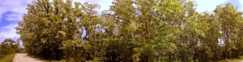 salcam04.jpg