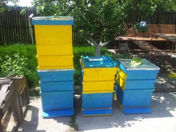 2014-05-20 13.10.39.jpg