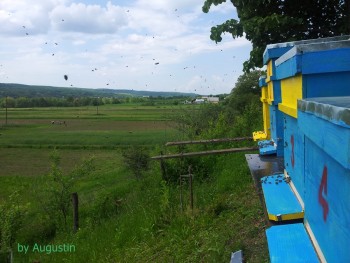 2014-05-22 11.23.21.jpg
