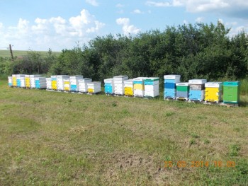 rsz_11picture.jpg