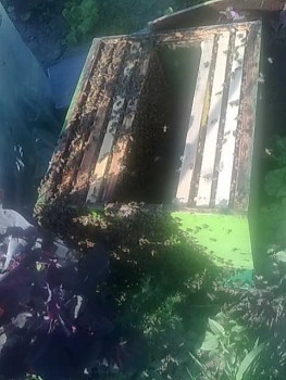25052014700.jpg