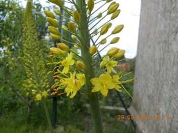 rsz_1picture_005.jpg