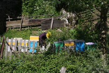 IMG_7713.JPG