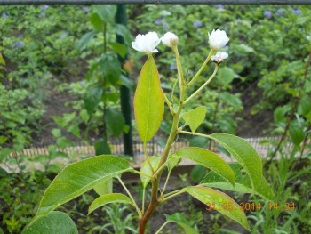 rsz_picture_003.jpg