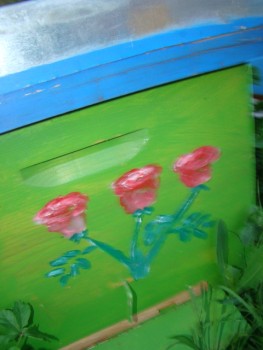 DSC03575.JPG