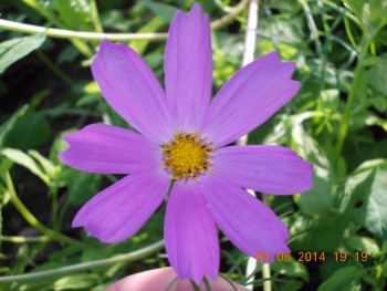 rsz_picture_008.jpg