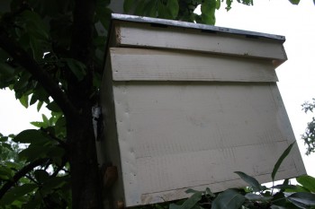 IMG_8717.JPG