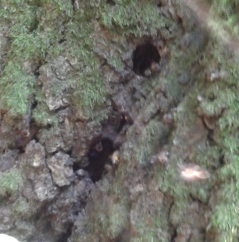 20140622_153949.jpg