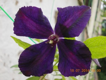 rsz_picture_014.jpg