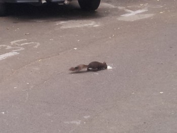 20140617_075613.jpg