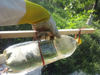 20140803_100819.jpg