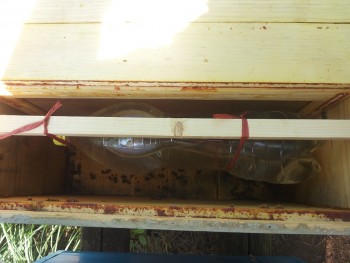 20140803_100951.jpg