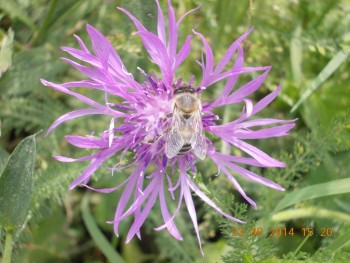 rsz_picture_036.jpg