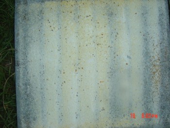rsz_dsc04311.jpg