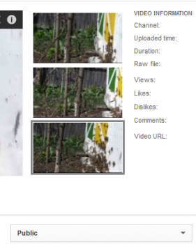 public.png