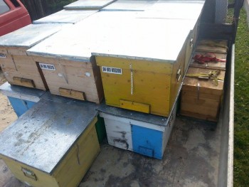10647623_731969976883283_1881483735_n (1).jpg