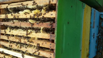 20140712_144848_800x450.jpg